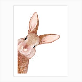 Peeping Rabbit Art Print