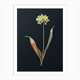 Vintage Golden Garlic Botanical Watercolor Illustration on Dark Teal Blue n.0671 Art Print
