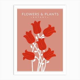 Red Flowers Botany Art Print