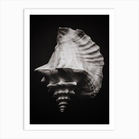 Black Shell 2 Art Print