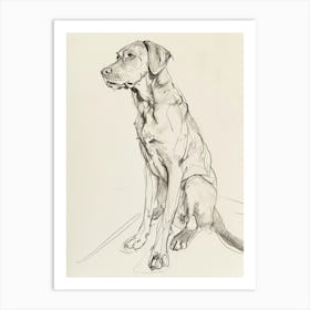 Chesapeake Bay Retriever Dog Charcoal Line 1 Art Print