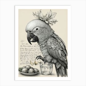 Parrot Art Print