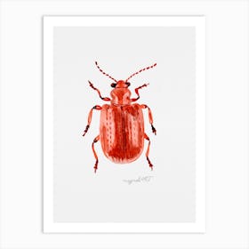 Lilioceris merdigera, the Onion Beetle, watercolor artwork Art Print