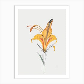 Tiger Lily Floral Minimal Line Drawing 5 Flower Art Print