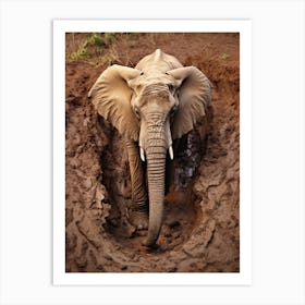 African Elephant Muddy Foot Prints Realism 3 Art Print