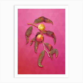 Vintage Peach Botanical Art on Beetroot Purple n.0181 Art Print