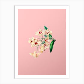 Vintage Copper Coloured Dendrobium Botanical on Soft Pink Art Print