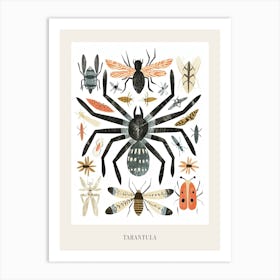 Colourful Insect Illustration Tarantula 6 Poster Art Print