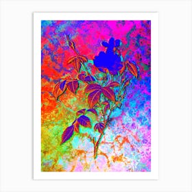 White Bengal Rose Botanical in Acid Neon Pink Green and Blue n.0345 Art Print
