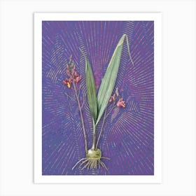 Vintage Pine Pink Botanical Illustration on Veri Peri n.0493 Art Print