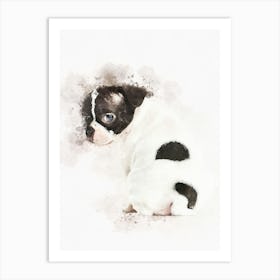 Boston Terrier Pup Dog Art Print