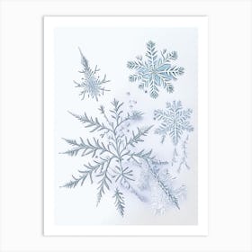 Ice, Snowflakes, Quentin Blake Illustration Art Print