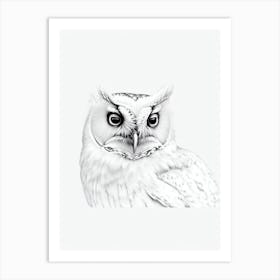 Eastern Screech Owl B&W Pencil Drawing 3 Bird Art Print