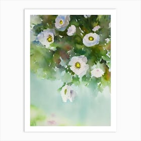 Giant Plumose Anemone Storybook Watercolour Art Print