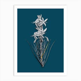 Vintage Yellow Asphodel Black and White Gold Leaf Floral Art on Teal Blue n.0999 Art Print