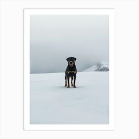 Rottweiler In The Snow. Generated AI. Art Print Art Print