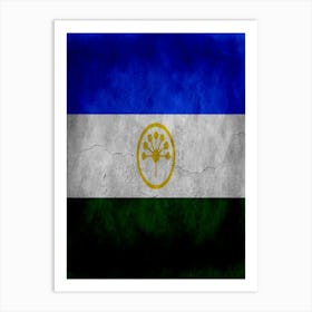 Bashkortostan Flag Texture Art Print