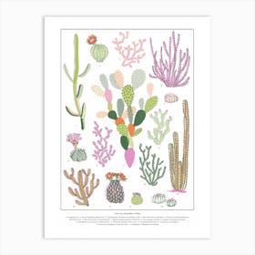 Cacti Botanical Art Print