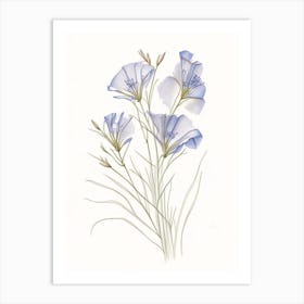 Flax Floral Quentin Blake Inspired Illustration 3 Flower Art Print