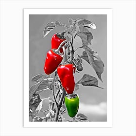 Peppers on the tree Art Print