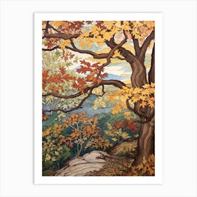American Sycamore 1 Vintage Autumn Tree Print  Art Print