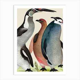 Galapagos Penguin Vintage Graphic Watercolour Art Print