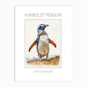 Humboldt Penguin Bartolom Island Watercolour Painting 1 Poster Art Print