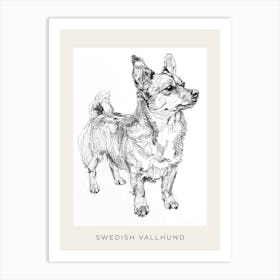 Swedish Vallhund Dog Line Sketch 1 Poster Art Print