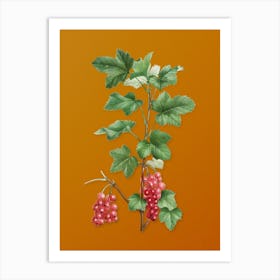 Vintage Redcurrant Plant Botanical on Sunset Orange n.0272 Art Print