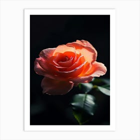 Rose Rose Rose Rose Rose Rose Rose Rose Art Print