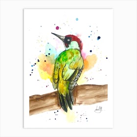 Woodpecker bird Art Print