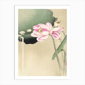 Songbird And Lotus (1900 1936), Ohara Koson Art Print