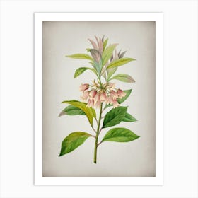 Vintage Chinese New Year Flower Botanical on Parchment n.0843 Art Print