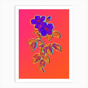 Neon Tea Scented Roses Bloom Botanical in Hot Pink and Electric Blue n.0385 Art Print