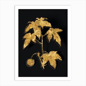Vintage American Sweetgum Botanical in Gold on Black Art Print