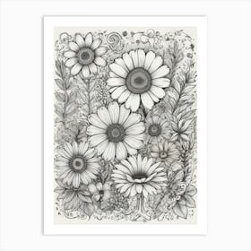 Daisies 4 Art Print