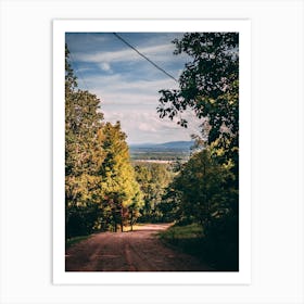 Dirt Road In The Woods Art Print