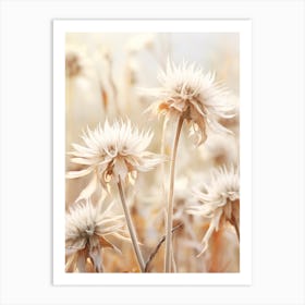 Boho Dried Flowers Bee Balm 2 Art Print