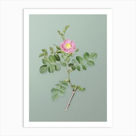 Vintage Pink Sweetbriar Rose Botanical Art on Mint Green n.0242 Art Print