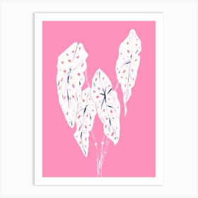 The Plant Series Begonia Maculata Pink Art Print