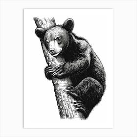 Malayan Sun Bear Cub Climbing A Tree Ink Illustration 3 Art Print