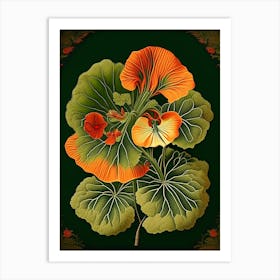 Nasturtium 3 Floral Botanical Vintage Poster Flower Art Print