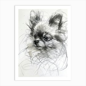 Pomeranian Dog Charcoal Line 1 Art Print