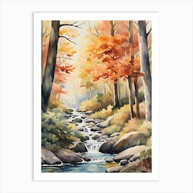 Stream In The Woods 2 Art Print