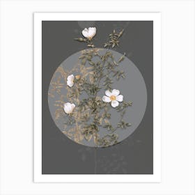 Vintage Botanical Hedge Rose on Circle Gray on Gray n.0234 Art Print