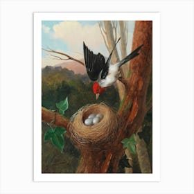 Vintage Bird In Nest Art Print