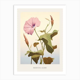 Floral Illustration Morning Glory 2 Poster Art Print