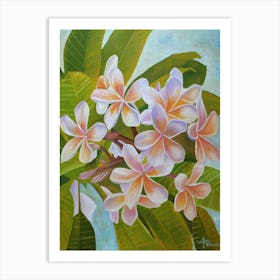 Plumeria Art Print