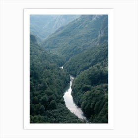 The River Through The Forest Art Print