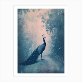 Vintage Peacock On A Path Cyanotype Inspired 4 Art Print